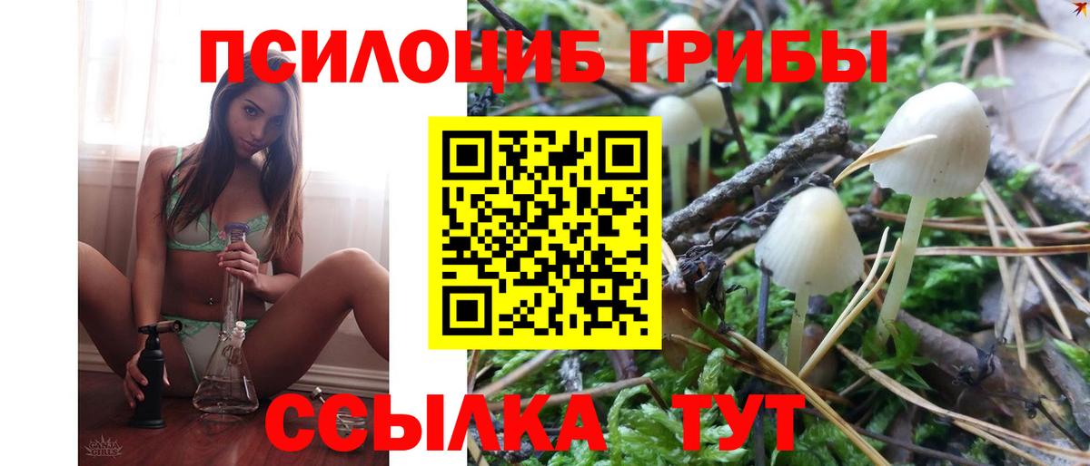 продажа наркотиков  Галлюциногенные грибы Psilocybe  Ростов Великий  Вход с VPN  Псилоцибиновые грибы Psilocybine cubensis 